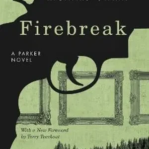 Firebreak | 0:e upplagan Trygg betalning