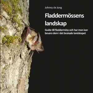Endast denna vecka Fladdermössens landskap | 1:a upplagan
