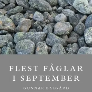 Snabb frakt Flest fåglar i september | 1:a upplagan