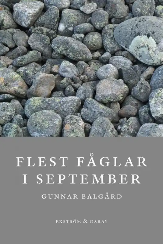 Snabb frakt Flest fåglar i september | 1:a upplagan