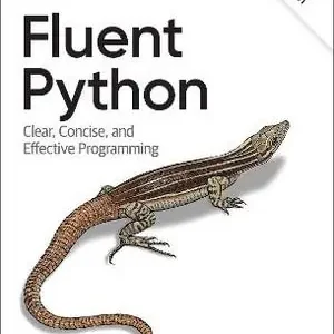 Begränsat antal Fluent Python | 2:a upplagan