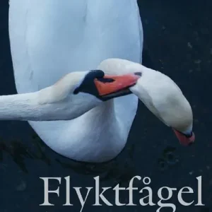 Endast idag Flyktfågel - En roman om avsked | 0:e upplagan