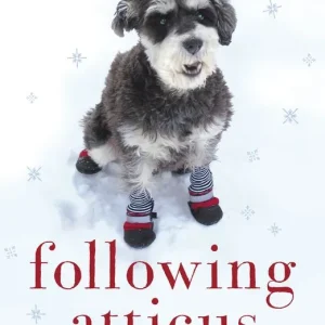 Fynd Following Atticus | 0:e upplagan