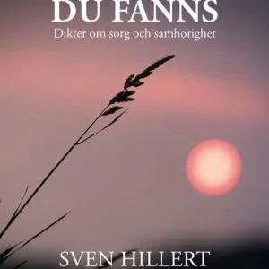 Fynd För att du fanns | 1:a upplagan
