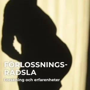 Bästa pris Förlossningsrädsla - Forskning och erfarenhet | 0:e upplagan