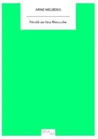 Försök att läsa Nietzsche | 0:e upplagan Köp online