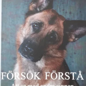 Nyhet Försök förstå – Att se med andra sinnen | 1:a upplagan