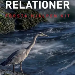 Första Hjälpen Kit -Farliga relationer | 0:e upplagan Köp online