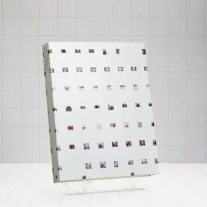 Forty Viewpoints in Seven Instances on the Reconstruction of Two Environments by Björn Lövin | 1:a upplagan Rabatt